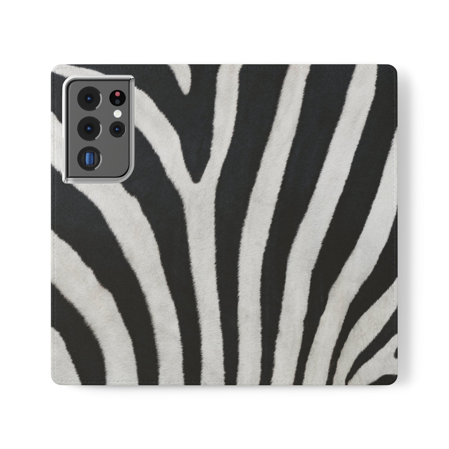 Pretty Zebra